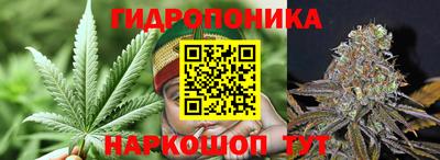 гидра Ливны