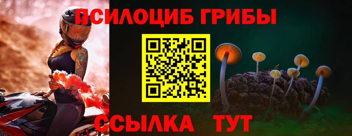 Псилоцибиновые грибы мухоморы  Псилоцибиновые грибы Psilocybe  Губкин  Вход с VPN 